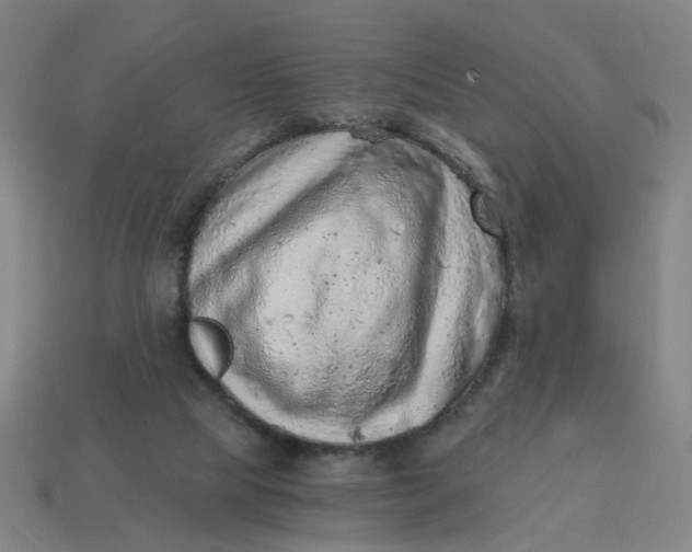 X0000114430065200911061651
