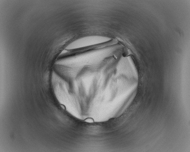 X0000114430066200911061651