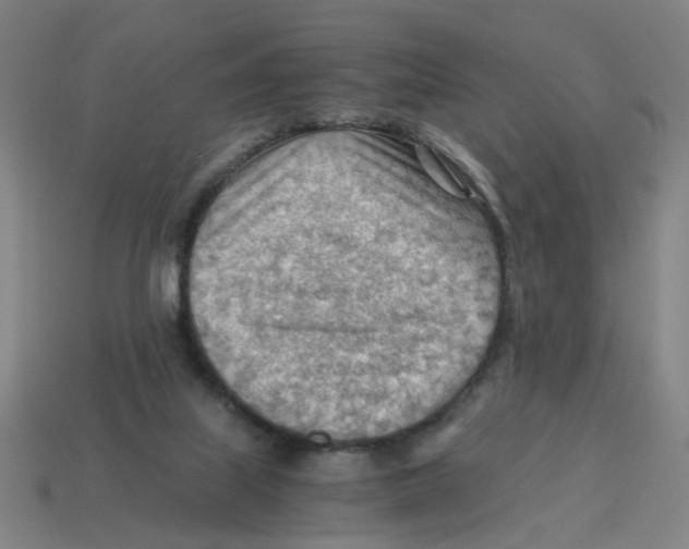 X0000114430067200911061651