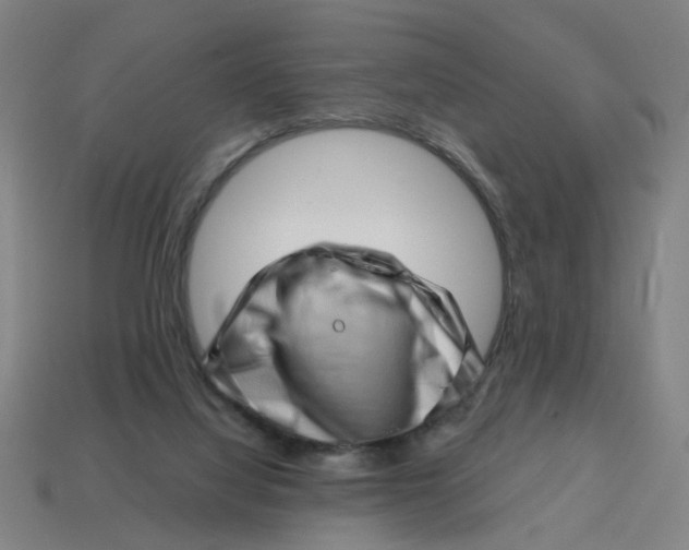 X0000114430068200911061651