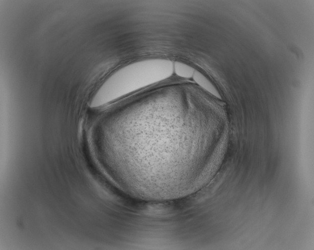 X0000114430070200911061651