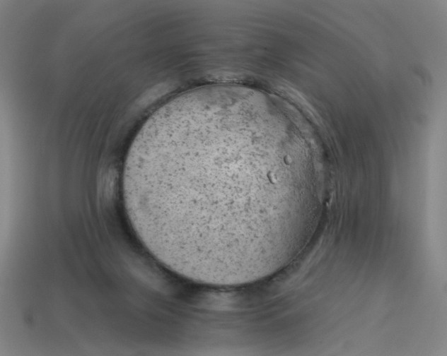 X0000114430071200911061651