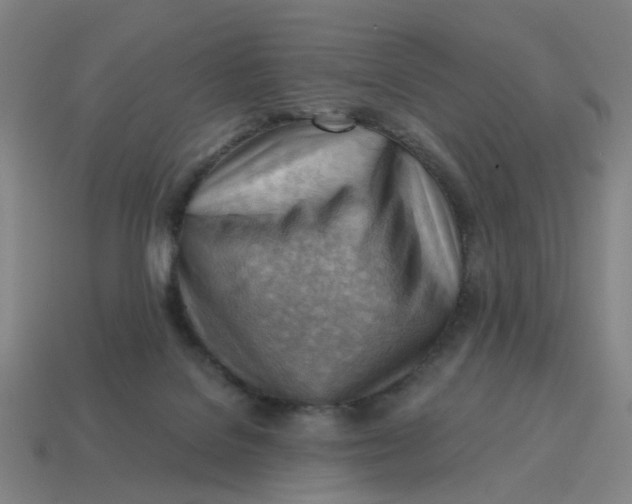 X0000114430076200911061652