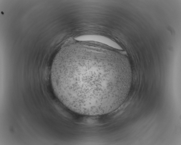 X0000114430078200911061652