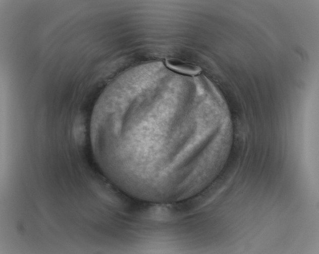 X0000114430080200911061652