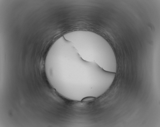 X0000114430081200911061652