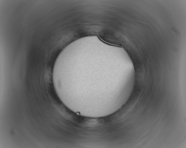 X0000114430083200911061652