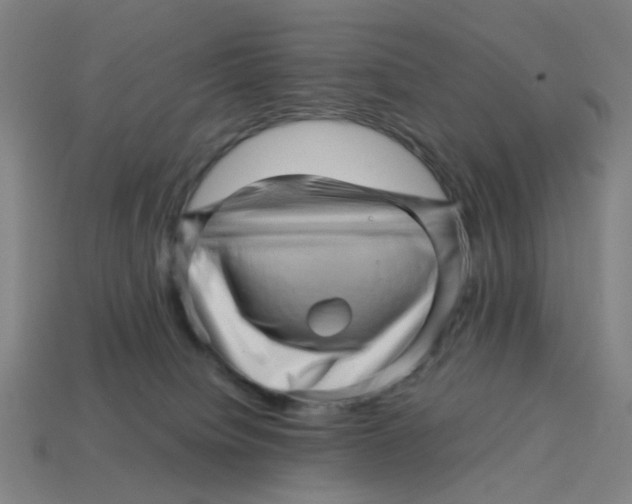 X0000114430084200911061652