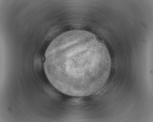 X0000114430086200911061652