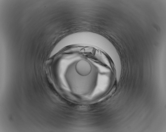 X0000114430088200911061652