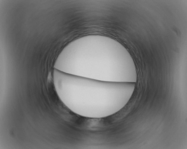 X0000114430089200911061652