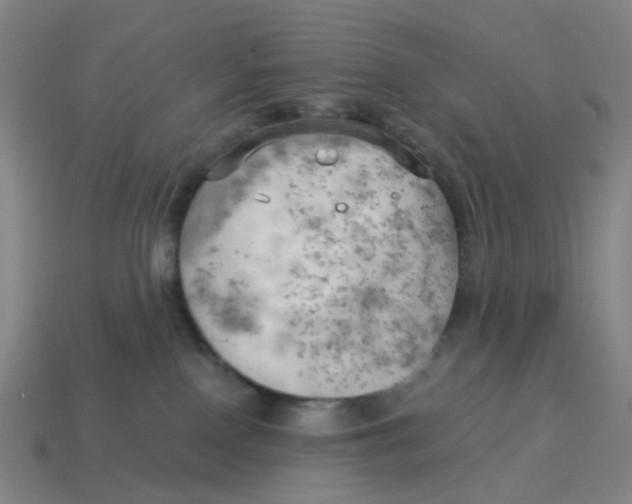 X0000114430090200911061652