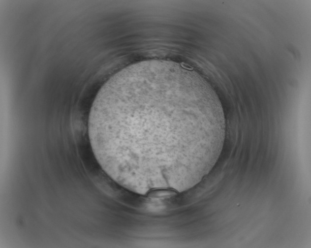X0000114430091200911061652
