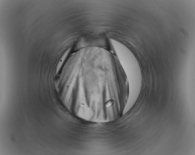 X0000114430092200911061652