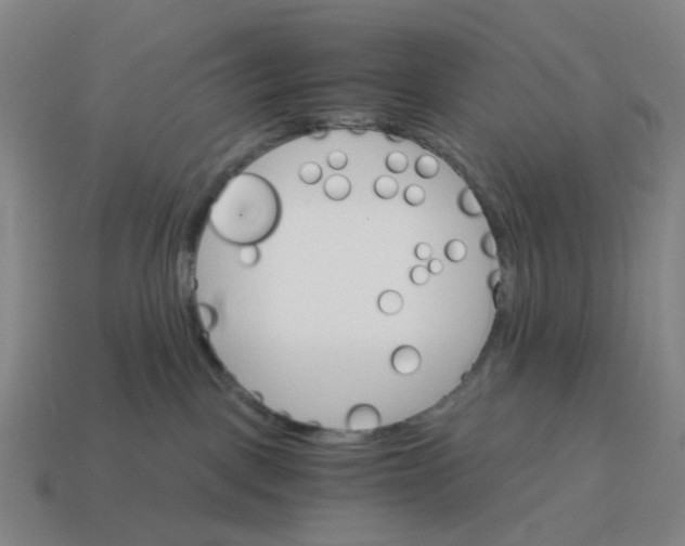 X0000114430093200911061652