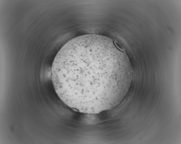 X0000114430095200911061652
