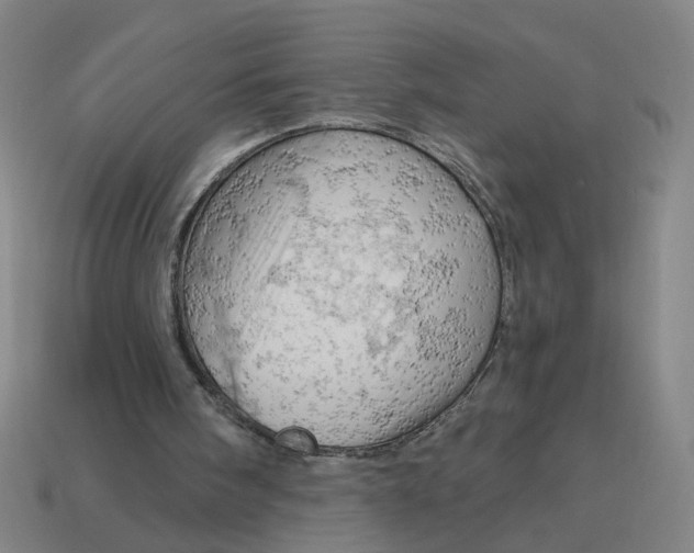 X0000114430098200911061651