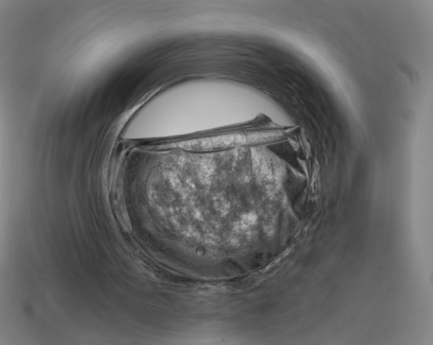 X0000114430099200911061651