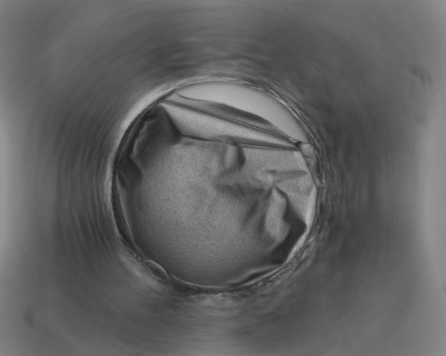 X0000114430100200911061651