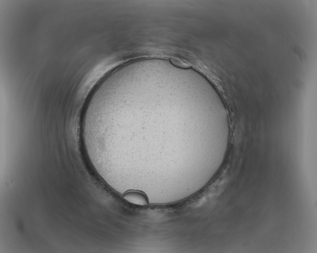 X0000114430103200911061651