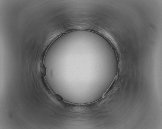 X0000114430105200911061651