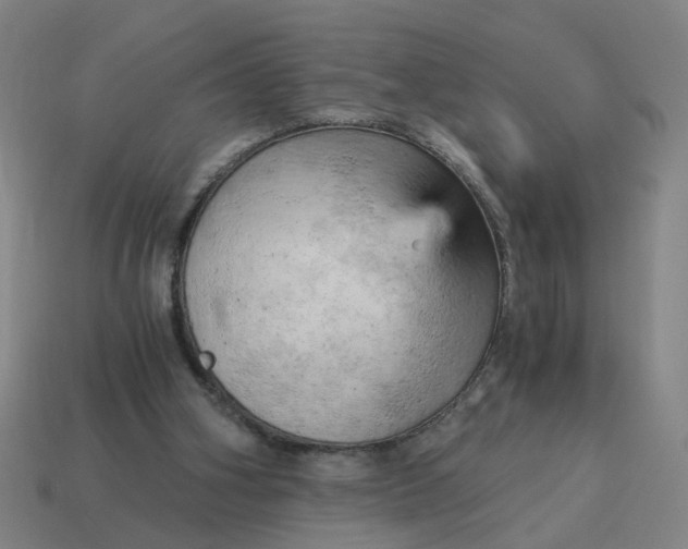 X0000114430106200911061651