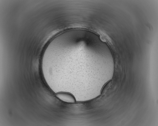X0000114430108200911061651