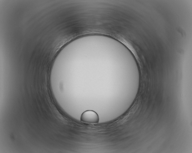 X0000114430109200911061651