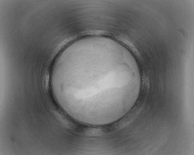 X0000114430110200911061651