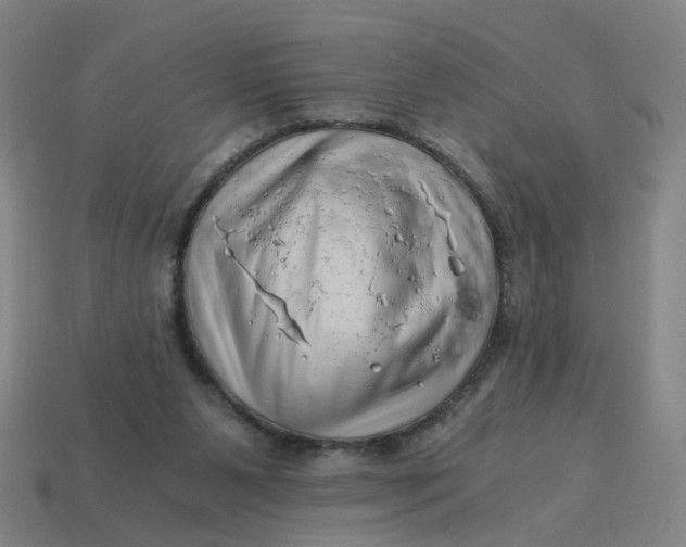 X0000114430111200911061651