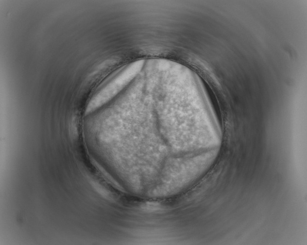 X0000114430114200911061651
