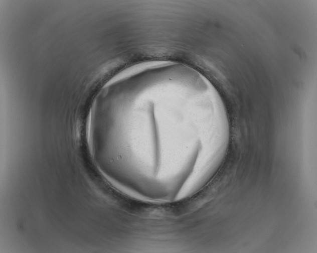 X0000114430115200911061651