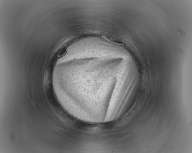X0000114430116200911061651