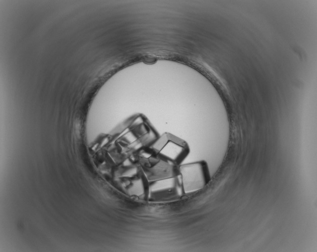 X0000114430117200911061651