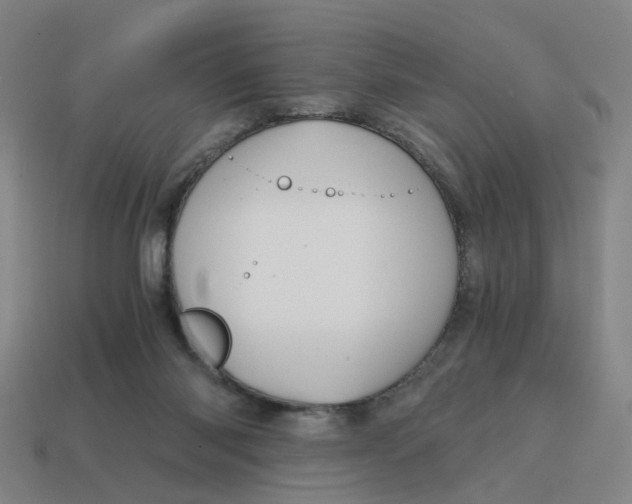 X0000114430118200911061651