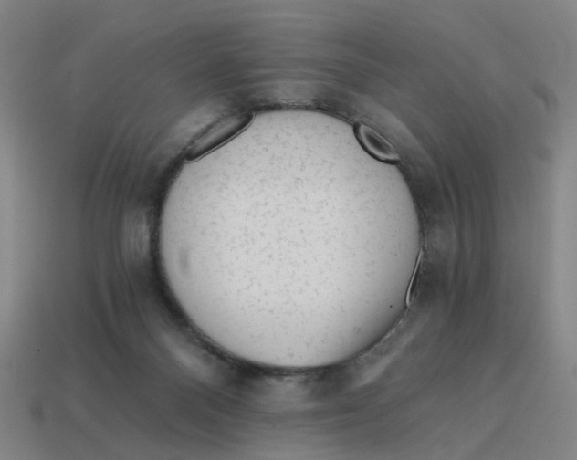 X0000114430120200911061651