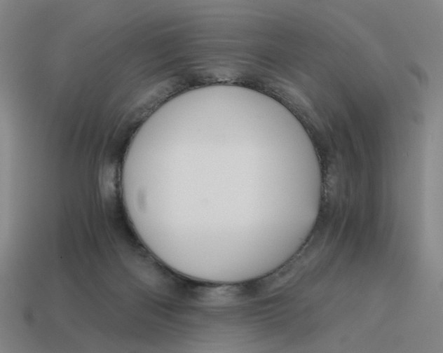 X0000114430122200911061651