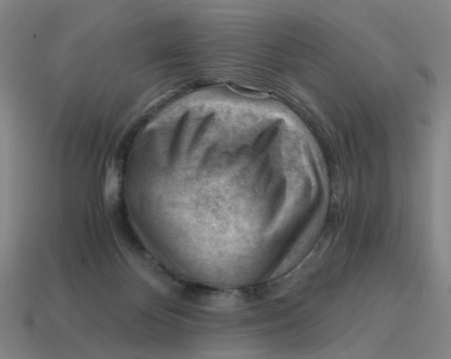 X0000114430124200911061651