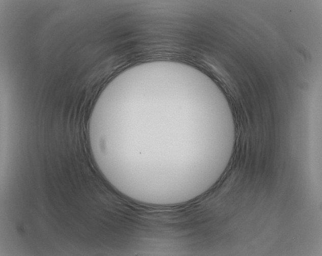 X0000114430125200911061651
