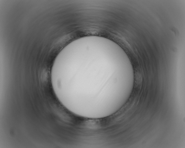 X0000114430126200911061651