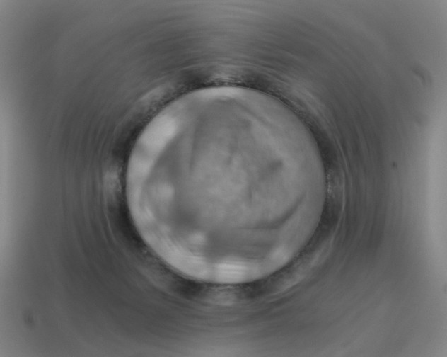 X0000114430127200911061651