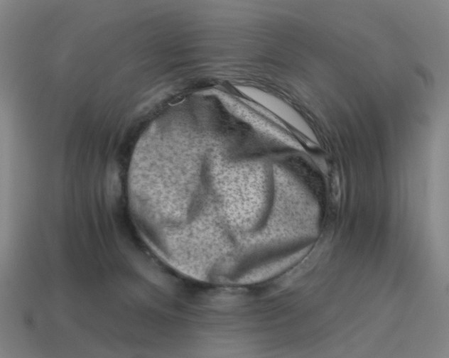 X0000114430128200911061651