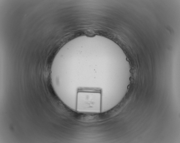X0000114430129200911061651