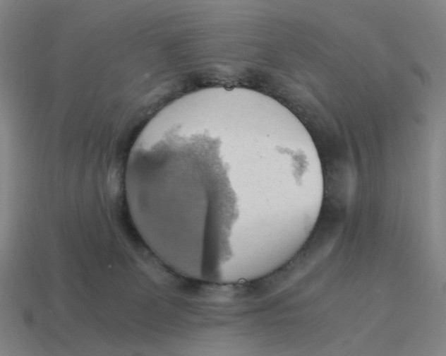 X0000114430131200911061651