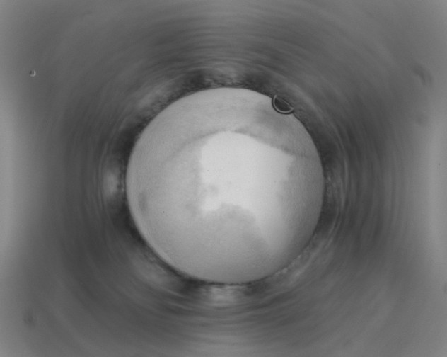 X0000114430134200911061651