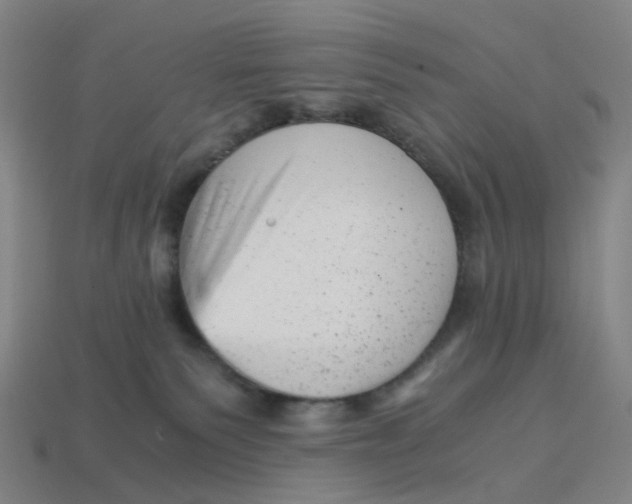 X0000114430135200911061651