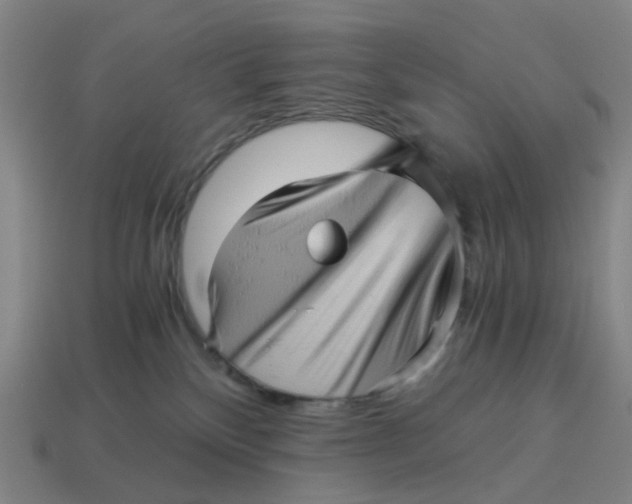 X0000114430136200911061651