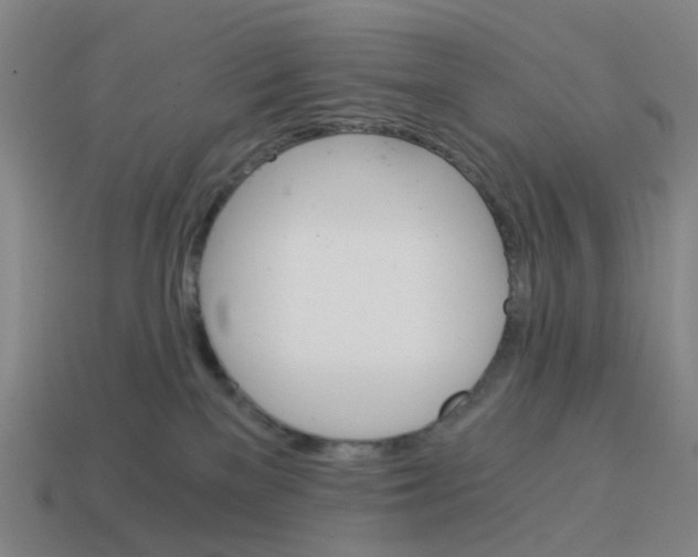 X0000114430137200911061651