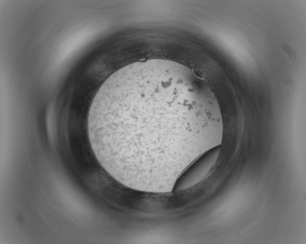 X0000114430140200911061651