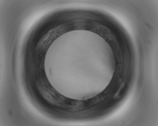 X0000114430143200911061651